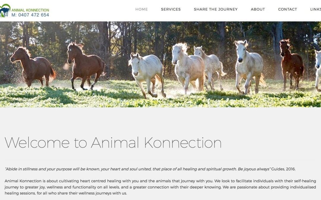 Website development for Animal Konnection