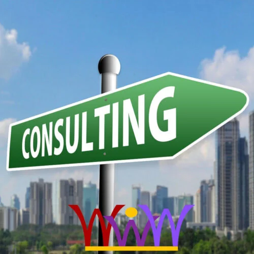 Web Design / Website Consulting