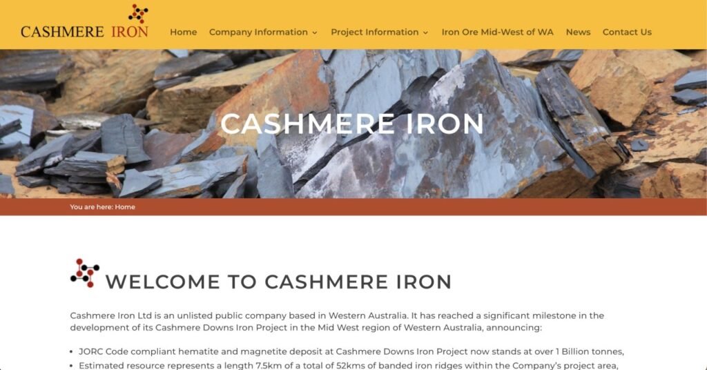 Portfolio Cashmere Iron