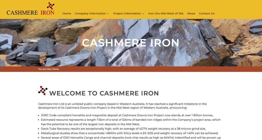 Portfolio Cashmere Iron